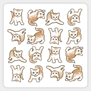 Playful Kittens are Everything on White Background Sticker